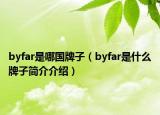 byfar是哪国牌子（byfar是什么牌子简介介绍）
