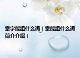 意字能组什么词（意能组什么词简介介绍）
