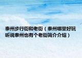 泰州步行街和老街（泰州哪里好玩听说泰州也有个老街简介介绍）
