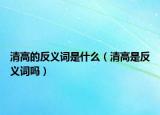 清高的反义词是什么（清高是反义词吗）