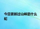 今日更新过山峰是什么蛇