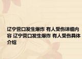 辽宁营口发生爆炸 有人受伤详细内容 辽宁营口发生爆炸 有人受伤具体介绍
