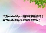 华为mate40pro支持鸿蒙系统吗（华为mate40pro支持红外线吗）