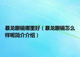 暴龙眼镜哪里好（暴龙眼镜怎么样呢简介介绍）