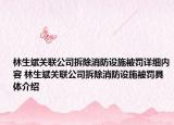 林生斌关联公司拆除消防设施被罚详细内容 林生斌关联公司拆除消防设施被罚具体介绍
