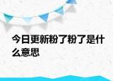 今日更新粉了粉了是什么意思