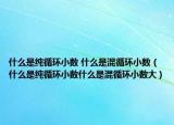 什么是纯循环小数 什么是混循环小数（什么是纯循环小数什么是混循环小数大）