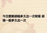 今日更新胡杨多久出一次树苗 胡杨一般多久出一次
