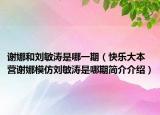 谢娜和刘敏涛是哪一期（快乐大本营谢娜模仿刘敏涛是哪期简介介绍）