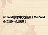 wizard意思中文翻译（WiZard中文是什么意思）