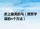 史上最美的鸟（搜索字幕的n个方法）