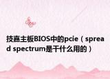 技嘉主板BIOS中的pcie（spread spectrum是干什么用的）