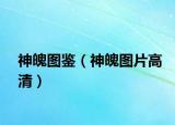 神魄图鉴（神魄图片高清）