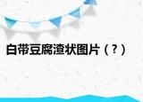 白带豆腐渣状图片（?）