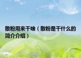 散粉用来干啥（散粉是干什么的简介介绍）