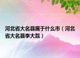 河北省大名县属于什么市（河北省大名县李大磊）