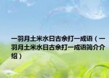 一羽月土米水曰古余打一成语（一羽月土米水日古余打一成语简介介绍）