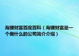 海银财富百度百科（海银财富是一个做什么的公司简介介绍）