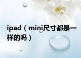 ipad（mini尺寸都是一样的吗）