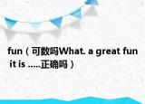 fun（可数吗What. a great fun it is .....正确吗）