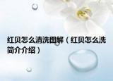 红贝怎么清洗图解（红贝怎么洗简介介绍）