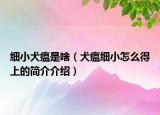 细小犬瘟是啥（犬瘟细小怎么得上的简介介绍）