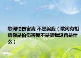 歌词怕伤害我 不是骗我（歌词有相信你是怕伤害我不是骗我这首是什么）