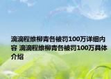 滴滴程维柳青各被罚100万详细内容 滴滴程维柳青各被罚100万具体介绍