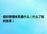 组织管理体系是什么（什么了组织体系）