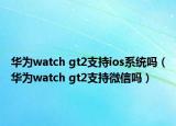 华为watch gt2支持ios系统吗（华为watch gt2支持微信吗）