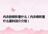 内衣的模杯是什么（内衣模杯是什么面料简介介绍）