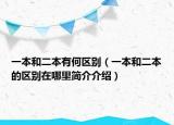 一本和二本有何区别（一本和二本的区别在哪里简介介绍）