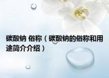 碳酸钠 俗称（碳酸钠的俗称和用途简介介绍）