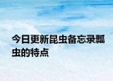 今日更新昆虫备忘录瓢虫的特点