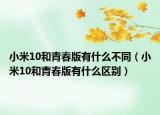 小米10和青春版有什么不同（小米10和青春版有什么区别）