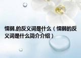 懦弱,的反义词是什么（懦弱的反义词是什么简介介绍）