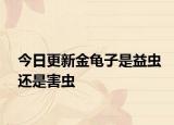 今日更新金龟子是益虫还是害虫