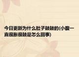 今日更新为什么肚子鼓鼓的(小腹一直很胀很鼓是怎么回事)