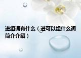 进组词有什么（进可以组什么词简介介绍）