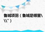 鲁城项羽（鲁城是哪里\