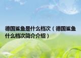 德国鲨鱼是什么档次（德国鲨鱼什么档次简介介绍）