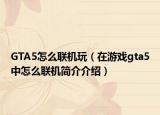 GTA5怎么联机玩（在游戏gta5中怎么联机简介介绍）