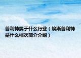 普利特属于什么行业（埃斯普利特是什么档次简介介绍）