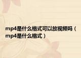 mp4是什么格式可以放视频吗（mp4是什么格式）