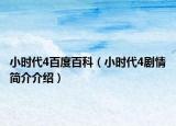 小时代4百度百科（小时代4剧情简介介绍）