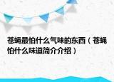 苍蝇最怕什么气味的东西（苍蝇怕什么味道简介介绍）