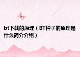 bt下载的原理（BT种子的原理是什么简介介绍）