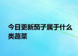 今日更新茄子属于什么类蔬菜