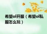 希望ol开服（希望ol私服怎么玩）