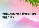 鸭绿江在哪个市（鸭绿江在哪里简介介绍）